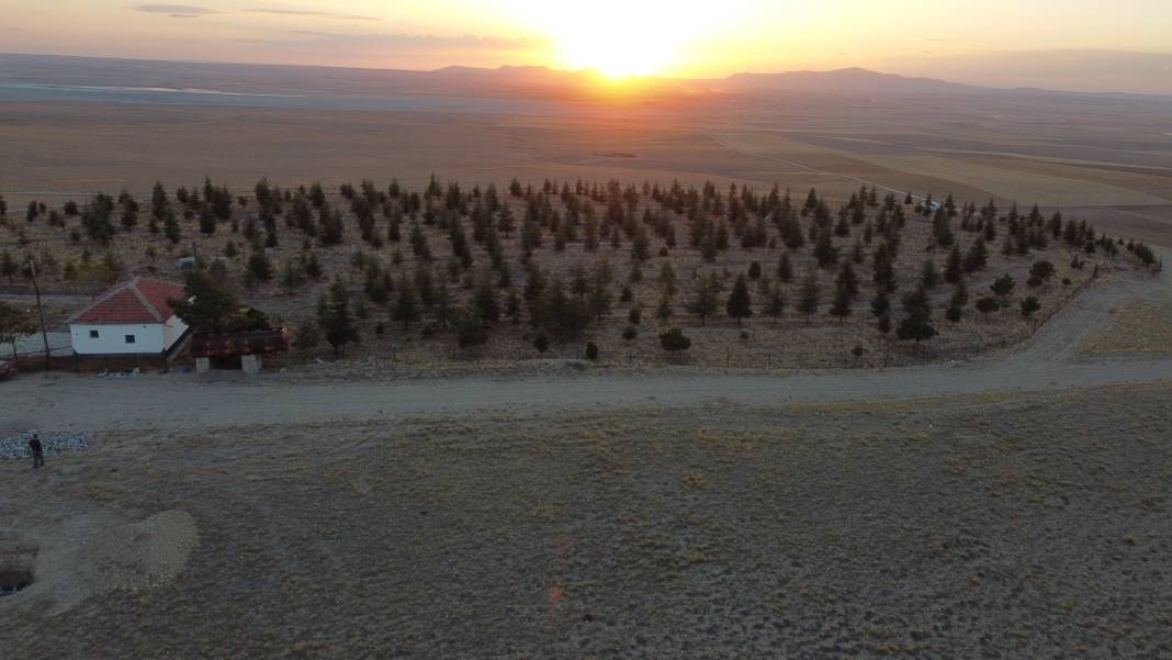 Makas kesme parasıyla ağaç aldı, Konya’da bozkırı ormana çevirdi 3